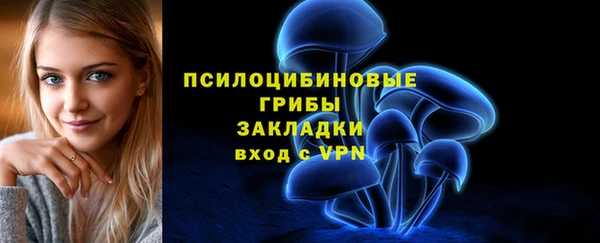 a pvp Верхний Тагил