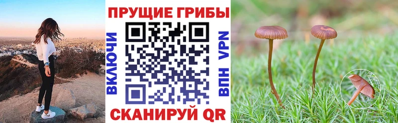 Галлюциногенные грибы ЛСД Иланский